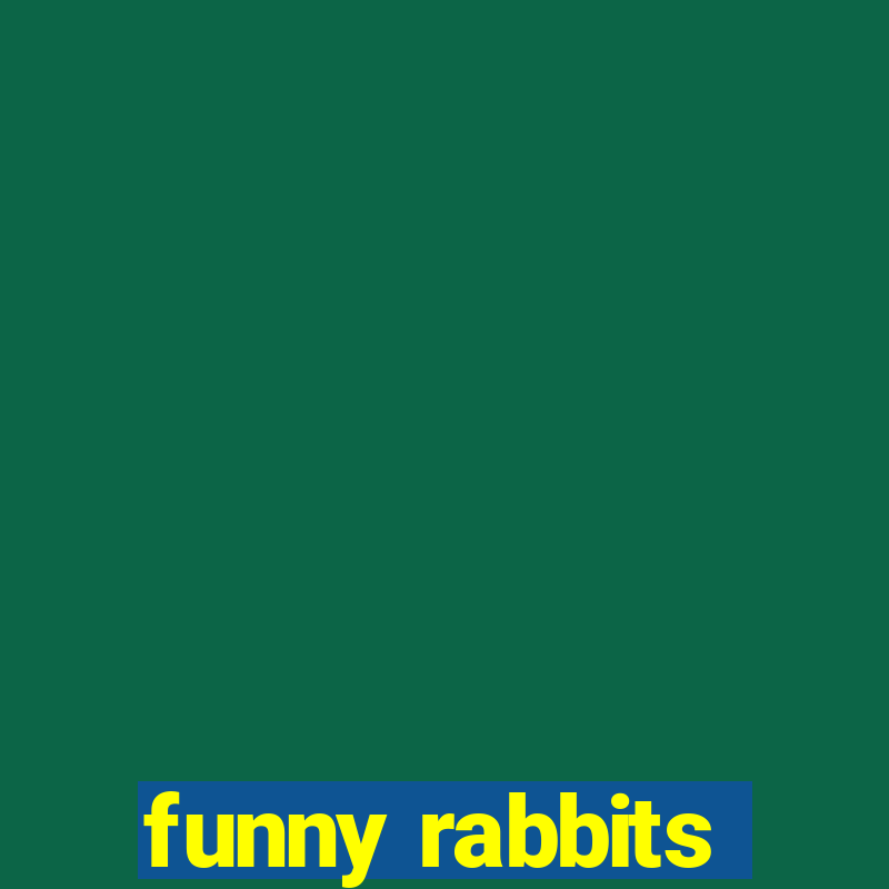 funny rabbits