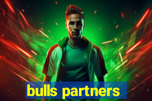 bulls partners