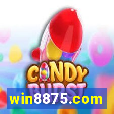 win8875.com