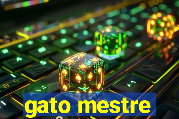 gato mestre