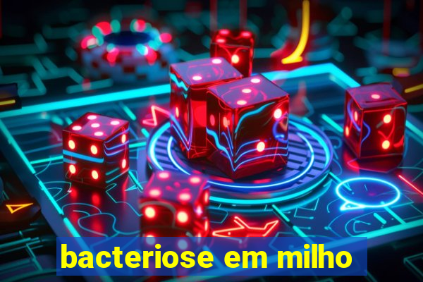 bacteriose em milho