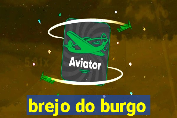 brejo do burgo