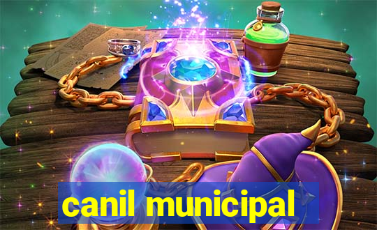 canil municipal