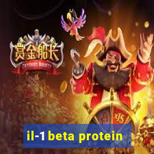 il-1 beta protein