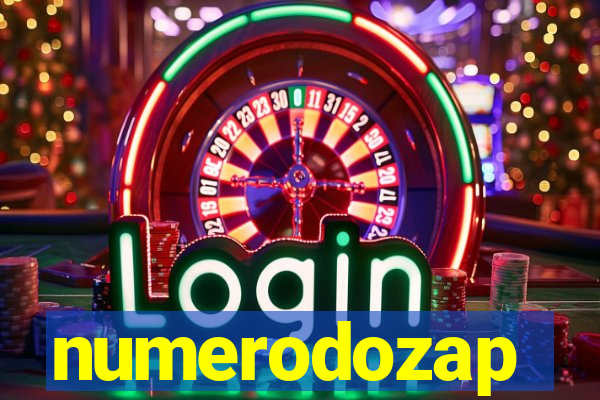 numerodozap