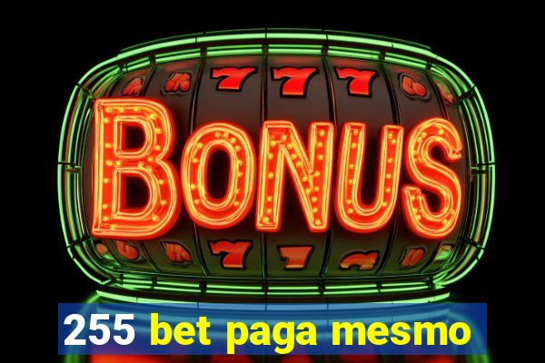 255 bet paga mesmo