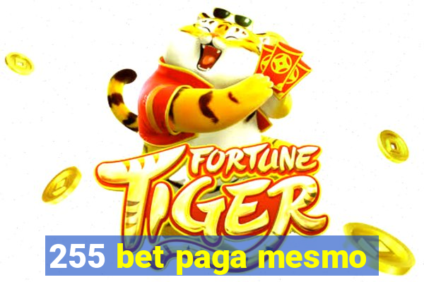 255 bet paga mesmo