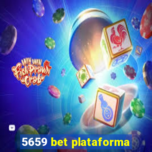 5659 bet plataforma