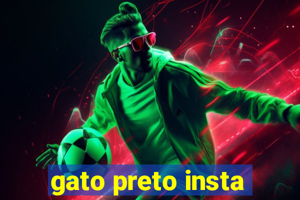 gato preto insta